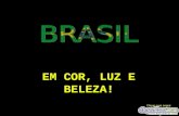 Brasil diapositivas