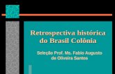 Retrospectiva Histórica Do Brasil Colônia