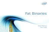 Android Fat Binaries