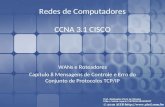 WANs e Roteadores Cap. 8 Mensagens de Controle e Erro do Conjunto de Protocolos TCP/IP - CCNA 3.1 Wellington Pinto de Oliveira