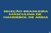 Seleção Brasileira de Beach Handball - 2011