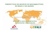 Biodiesel perspectivas no brasil e no mundo pdf