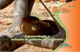Cartilha Agroecologia e criação de galinha de capoeira