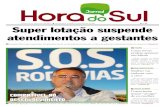 Jornal Hora do Sul - 01-06-2012