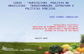 Curso "Agricultura paulista na agricultura brasileira - transformação, estrutura e políticas públicas"