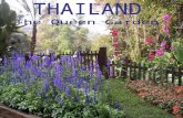 Thailand   Jardim Da Rainha