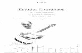 Brazilian guitar   estudos litorâneos