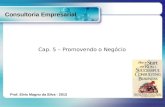 CONSULTORIA EMPRESARIAL - Cap. 5   promovendo o negócio
