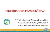 Tema 8   membrana plasmátiac