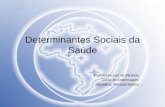 1.1 determinantes sociais-da-saude