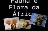 Fauna e flora da áfrica