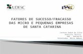 FATORES DE SUCESSO/FRACASSO DAS MICRO E PEQUENAS EMPRESAS DE SANTA CATARINA