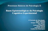 Bases Epistemológicas da Psicologia Cognitiva Experimental