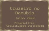 Cruzeiro pelo Danúbio