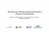 Seminário cbab avanços em biotecnologia de flores e plantas ornamentais_2006 [modo de compatibilidade]