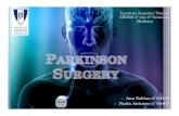 Parkinson\’s Surgery