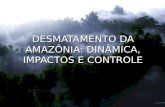 DESMATAMENTO DA AMAZONIA: DINAMICA, IMPACTOS E CONTROLE
