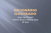 Valores - Vitória Silva e Vitória Dias