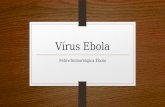 Vírus Ebola, Surgimento e Atualidades