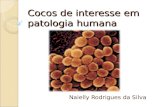 Cocos de interesse em patologia humana
