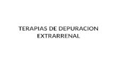 Terapias de depuracion extrarrenal