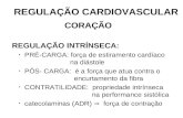 Cardiovascular regulacao
