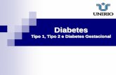 Diabetes tipo 1 tipo 2 e gestacional