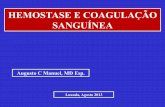 Aula de hemostase e coagulação sanguínea Dr Augusto 2013