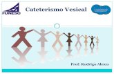 Cateterismo vesical