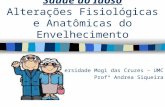 56987304 alteracoes-fisiologicas-e-anatomic-as-do-idoso