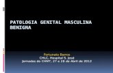 Patologia genital masculina benigna