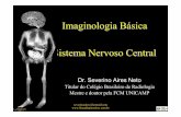 Imaginologia básica 10-neuro