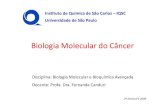 Biologia molecular-do-cancer