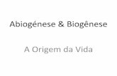 Origem da vida abiogénese &biogênese