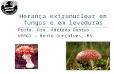Herança extranuclear em fungos