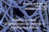 Aspergillus flavus, Staphylococcus aureus e Bacillus cereus