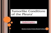 Condições semelhantes a tumor pleural(1)