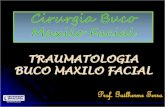 Traumatologia Buco Maxilo Facial 2013