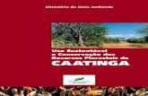Uso sustentável e conservação dos recursos florestais da caatinga_MMA
