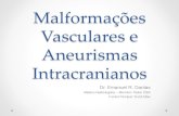 Malformações Vasculares e Aneurismas Intracranianos - Avaliação por Imagem
