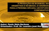 T39 tcc a produção de biodiesel na argentina e no brasil e cenários para a próxima década um estudo comparativo_paulo maia barbosa