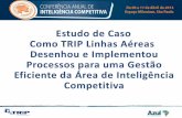 Palestra Conferência Anual de Inteligência Competitiva 2013 - Paulo Vieira