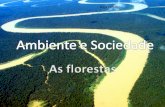 Ambiente e Sociedade- As florestas