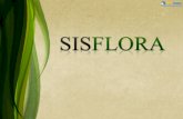 SISFLORA - Sistema de Comercialização e Transporte de Produtos Florestais