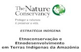 Ciclo de Gestão Territorial e Ambiental Indígena TNC 2008