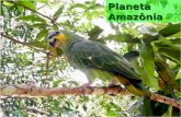 A fantastica Amazônia