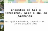 Programa prevencao desmatamento amazonia mma