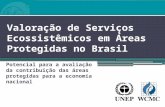 Valoração de Serviços Ecossistêmicos em Áreas Protegidas no Brasil