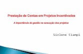 Prestação de Contas - ( A importância da gestão na execução de projetos) Sirlene Ciampi - Agosto 2014