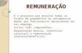 Remuneracao  apresentacao_04112013